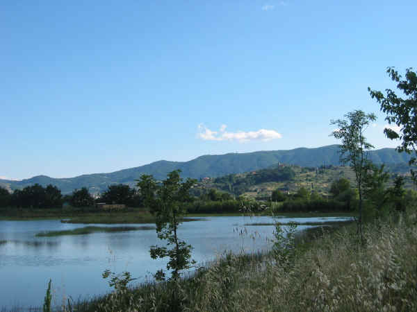 La Querciola