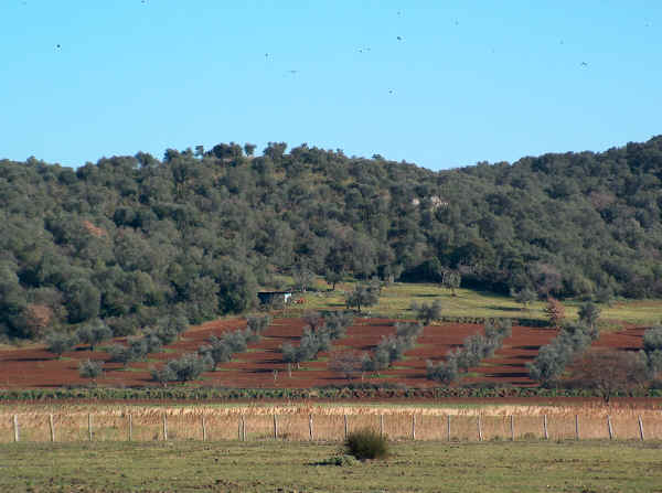 Parco Naturale della Maremma