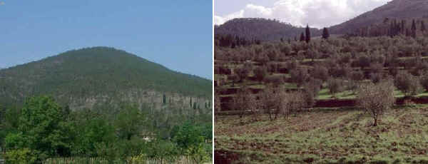 Bosco e paesaggio agrario del Monteferrato