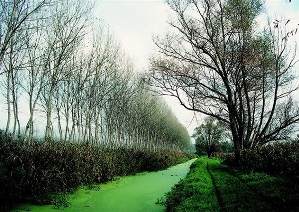 Riserva Naturale Padule di Fucecchio