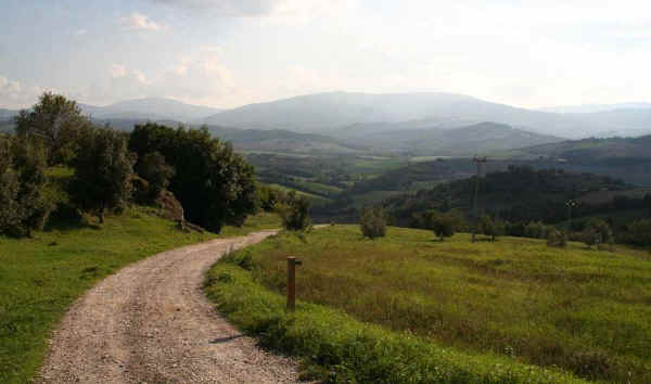 Campagna di Radicondoli