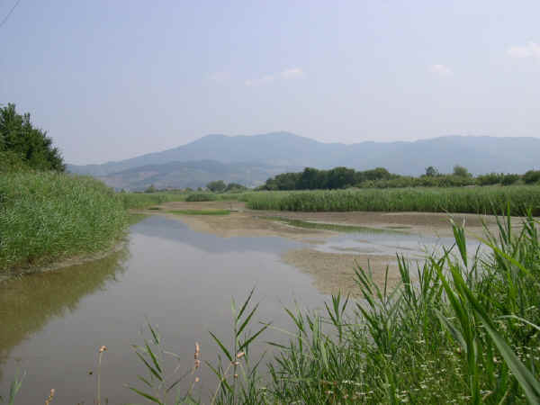 Oasi WWF Stagni di Focognano