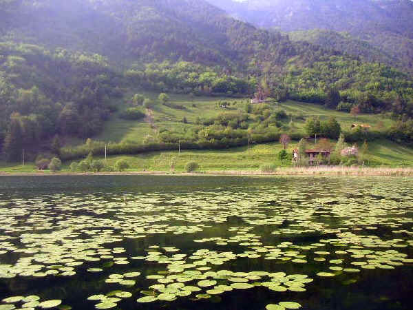 Biotopo Lago d'Ampola