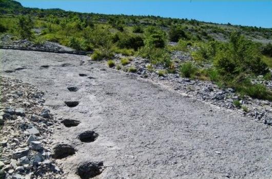 Orme dinosauriane impresse sui Lavini di Marco