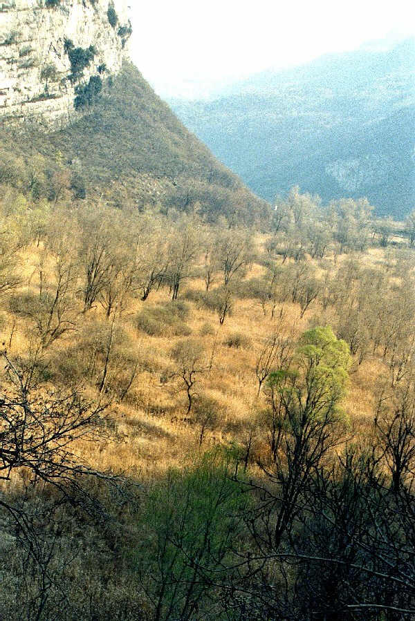 Biotopo Lago di Loppio