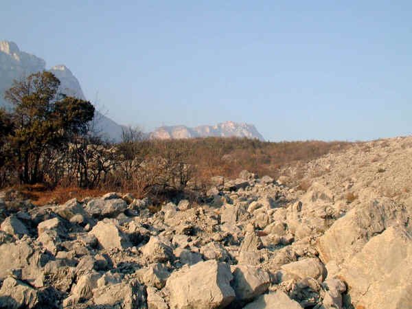 Biotopo Le Marocche di Dro