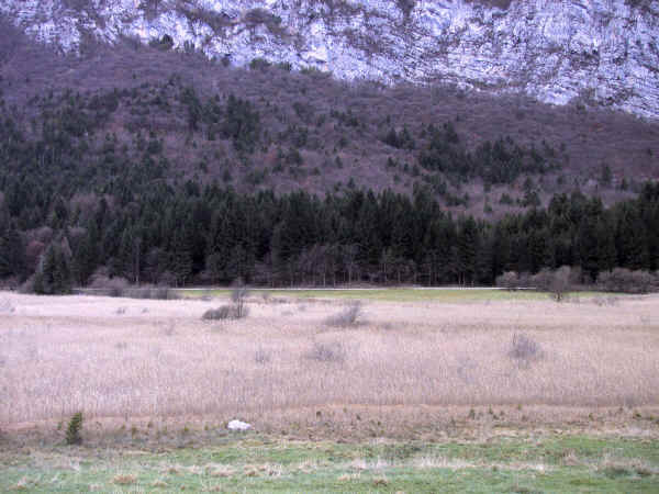 Biotopo Lomasona - Veduta panoramica