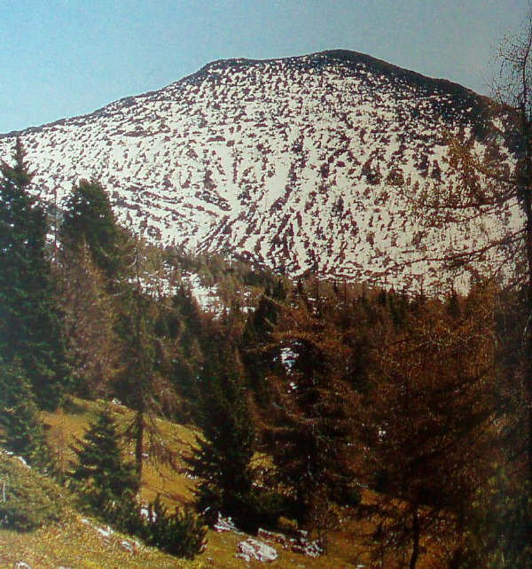 Riserva Naturale guidata Scanuppia