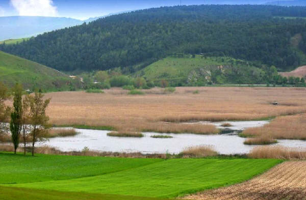 Parco naturale di Colfiorito