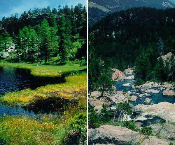 Parco Naturale Mont Avic 