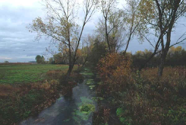 Palude di Onara in autunno