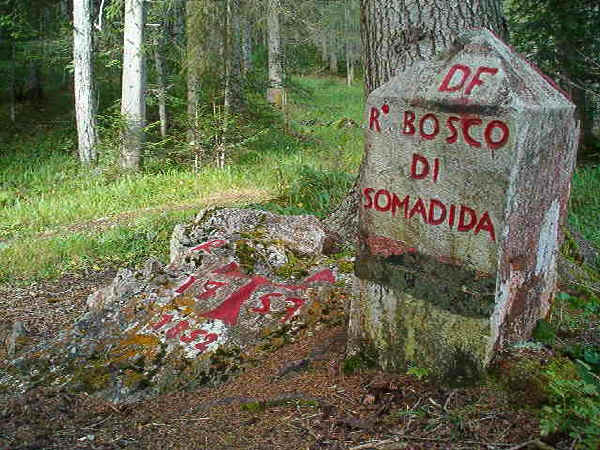 Bosco di Somadida