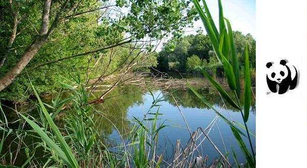 Oasi WWF Stagni di Casale