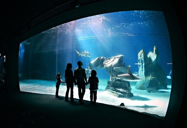 Acquario di Genova