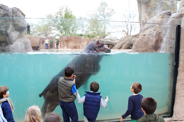 Bioparco di Torino