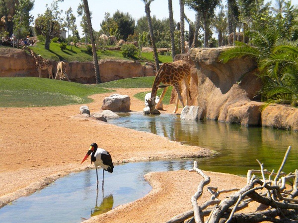 Bioparco di Torino