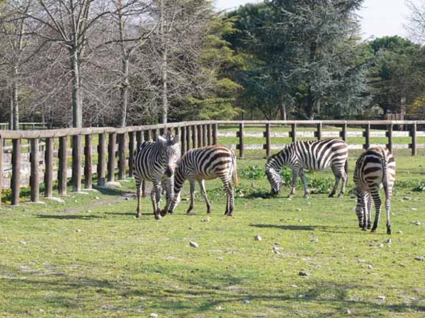 Parco Faunistico Valcorba