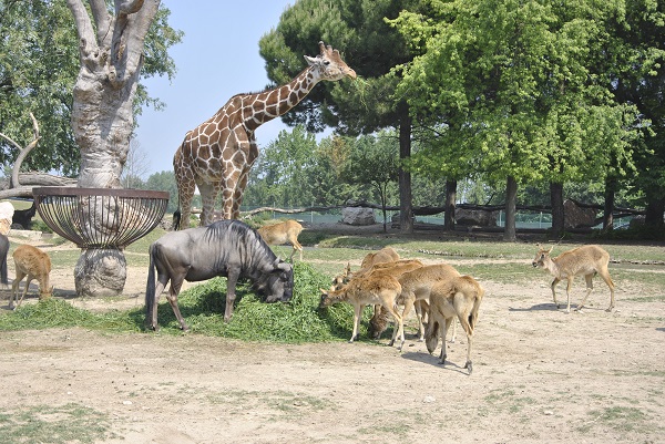 Parco Natura Viva