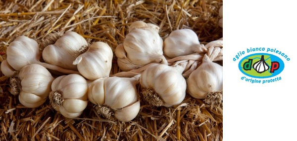 Aglio Bianco Polesano DOP