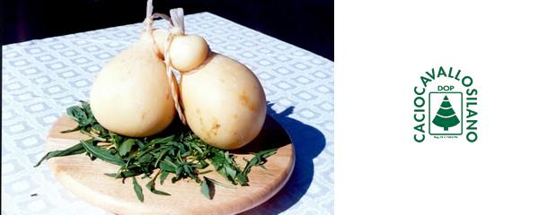 Caciocavallo Silano DOP