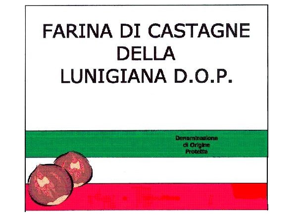 Farina di castagne della Lunigiana Dop