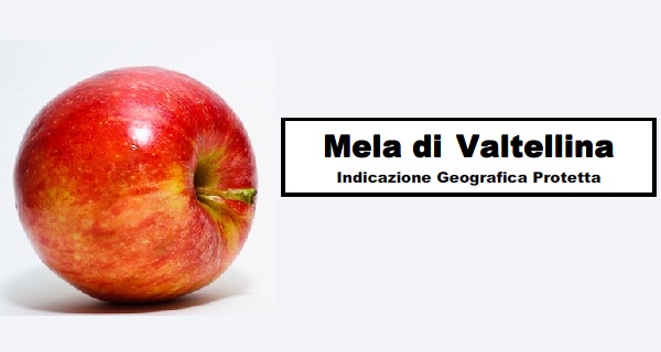 Mela di Valtellina IGP