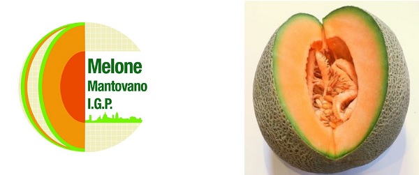 Melone Mantovano IGP