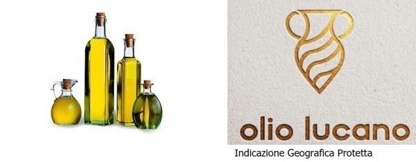 Olio Lucano IGP