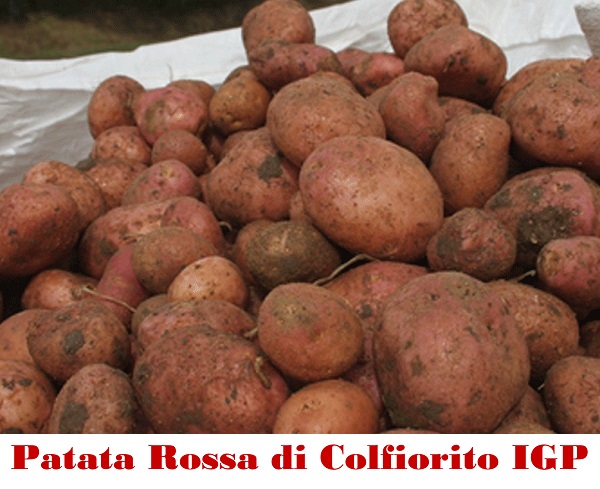 Patata Rossa di Colfiorito IGP