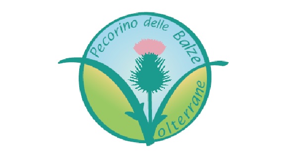 Pecorino delle Balze Volterrane Dop