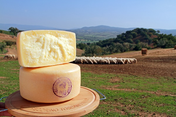 Pecorino Toscano DOP