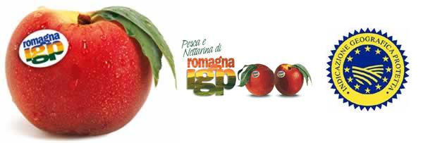 Pesca e nettarina di Romagna IGP 