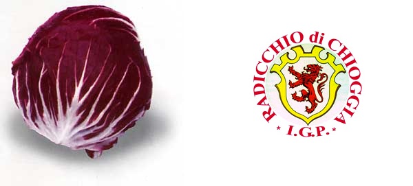 Radicchio di Chioggia IGP