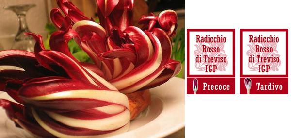 Radicchio Rosso di Treviso IGP