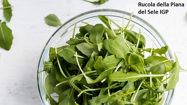 Rucola della Piana del Sele IGP