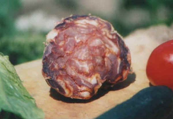 Salsicciotto di Guilmi