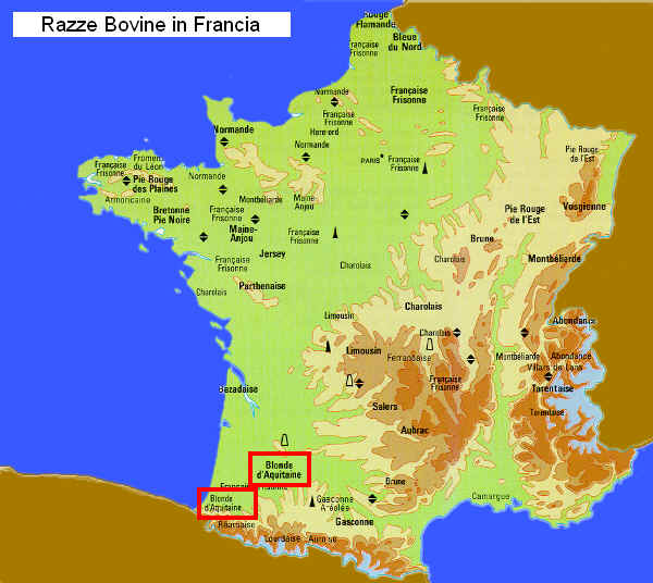 Zone di allevamento della razza Blonde d'Aquitaine (Garonnese) in Francia
