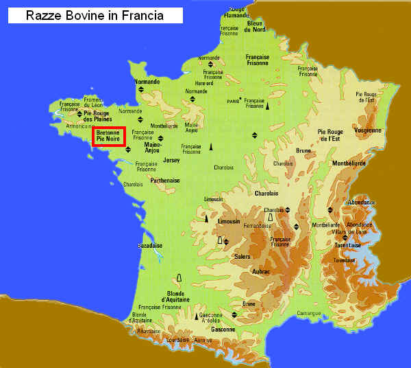 Zona di allevamento della razza Bretone Pezzata Nera in Francia