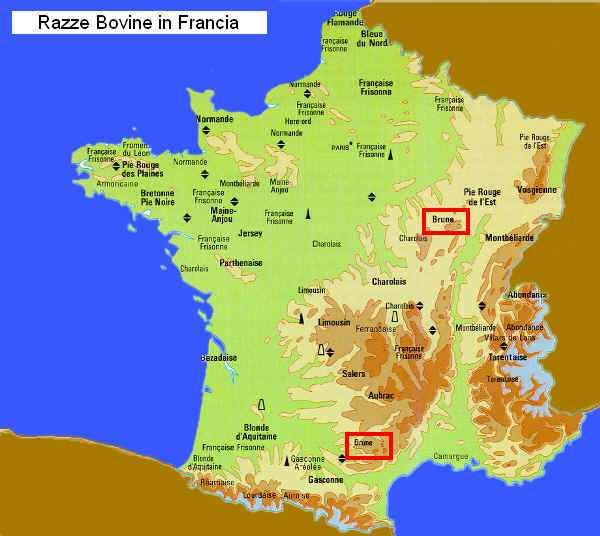 Zona di allevamento della razza Bruna Francese in Francia