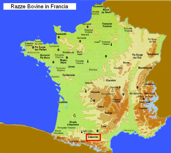 Zona di allevamento della razza Gasconne  in Francia 