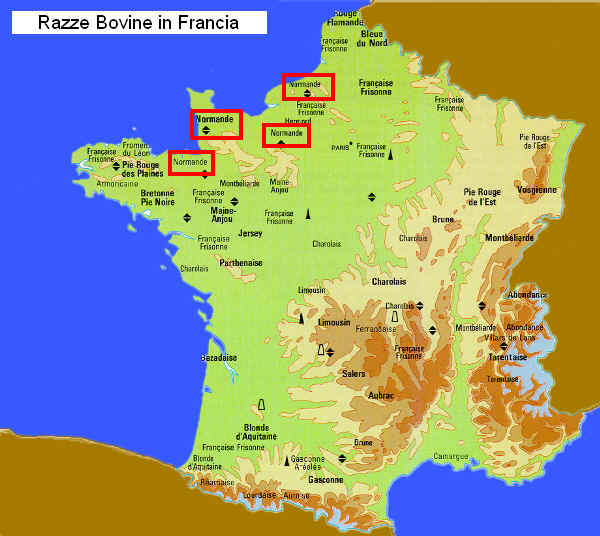 Zona di allevamento della razza Normanna (Normande)  in Francia