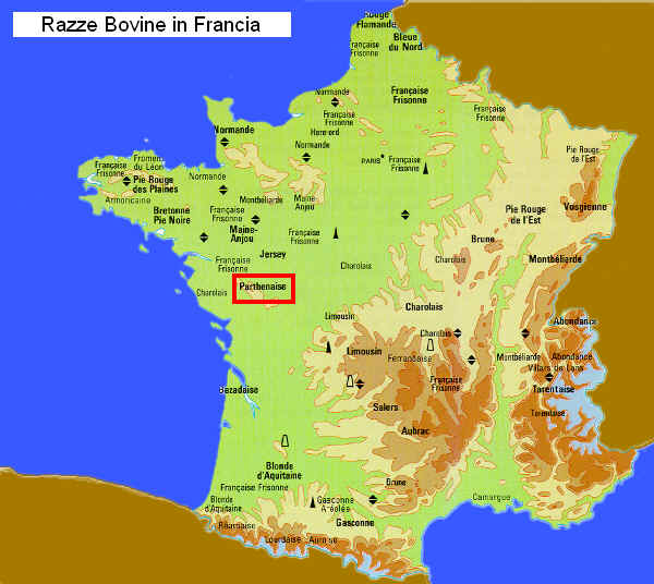 Zona di allevamento della razza Parthenaise  in Francia