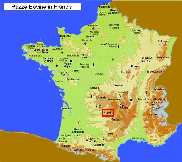 Zona di allevamento della razza Salers  in Francia