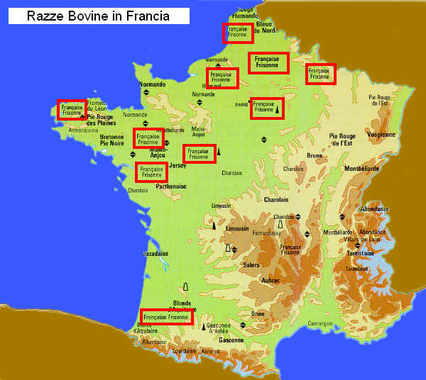 Zone di allevamento della razza Frisona Francese in Francia