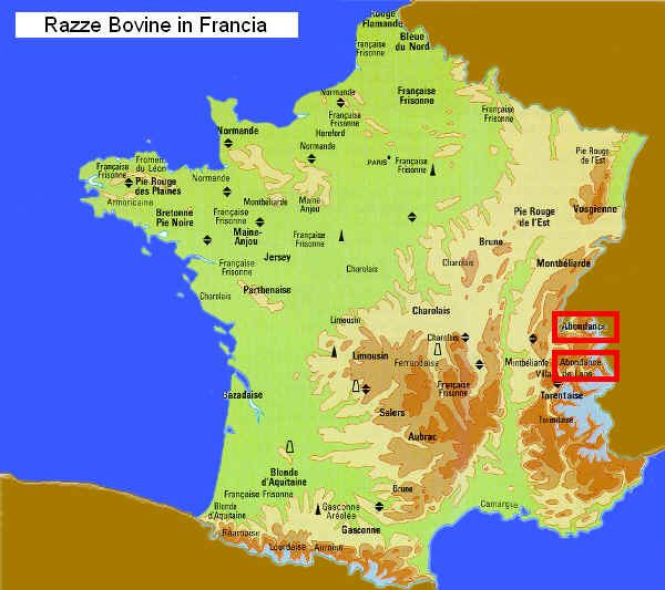 Zone di allevamento della razza Abondance in Francia