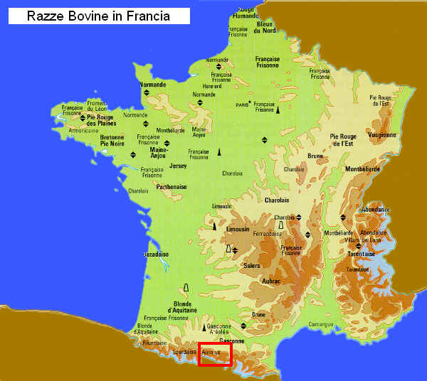Zona di allevamento della razza Aure et Saint-Giron in Francia