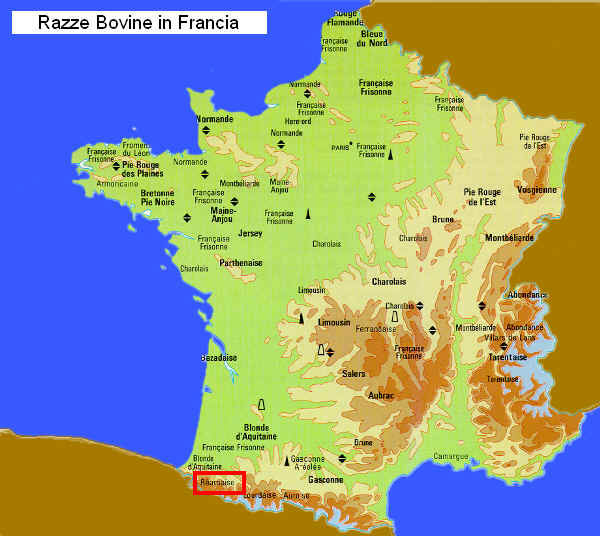 Zona di allevamento della razza Bernaise in Francia