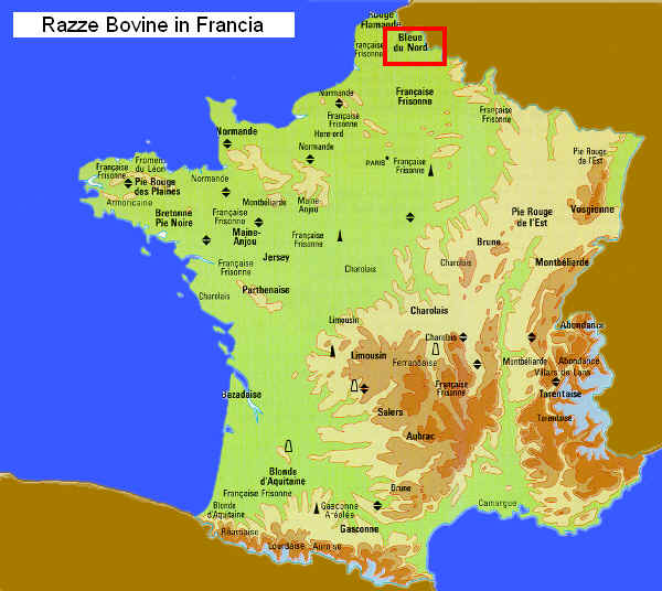 Zona di allevamento della razza Blue du Nord in Francia