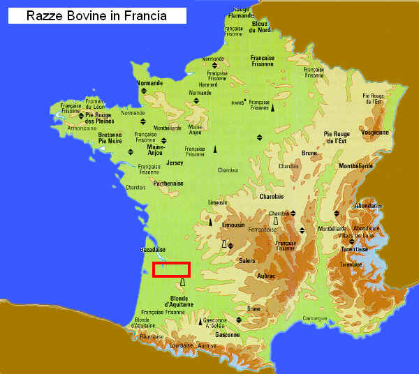 Zona di allevamento della razza Bordelaise in Francia