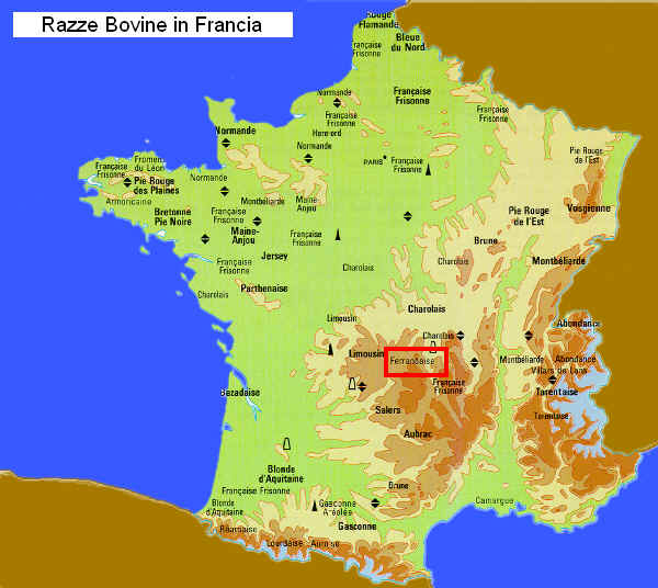 Zona di allevamento della razza Ferrandaise in Francia